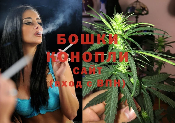 гидра Аркадак