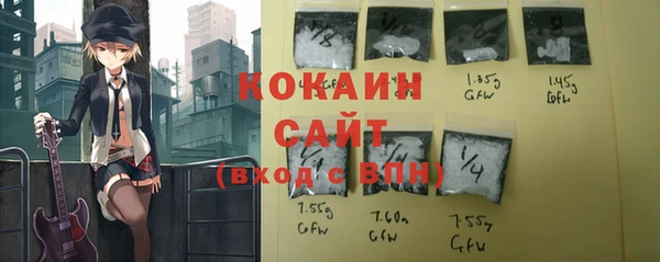 шишки Армянск