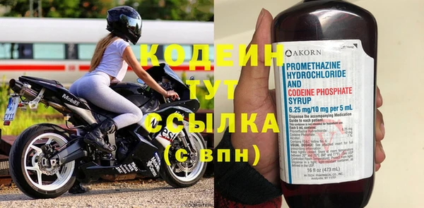 гидра Аркадак