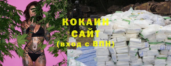гидра Аркадак